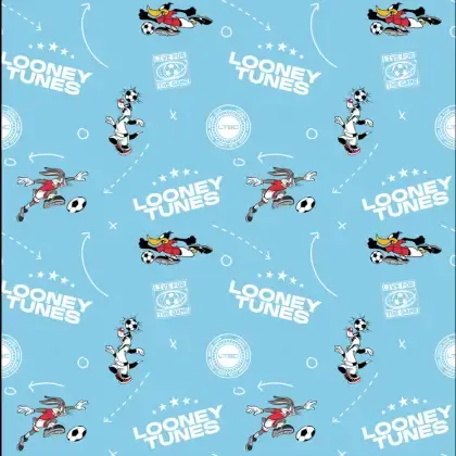 looney-category-2026