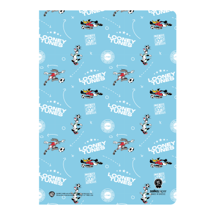 looney-karfitsa-26-2