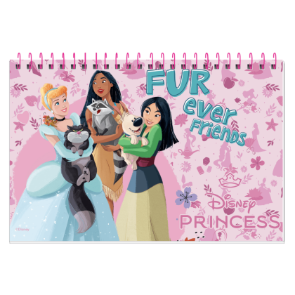 princess-26-2